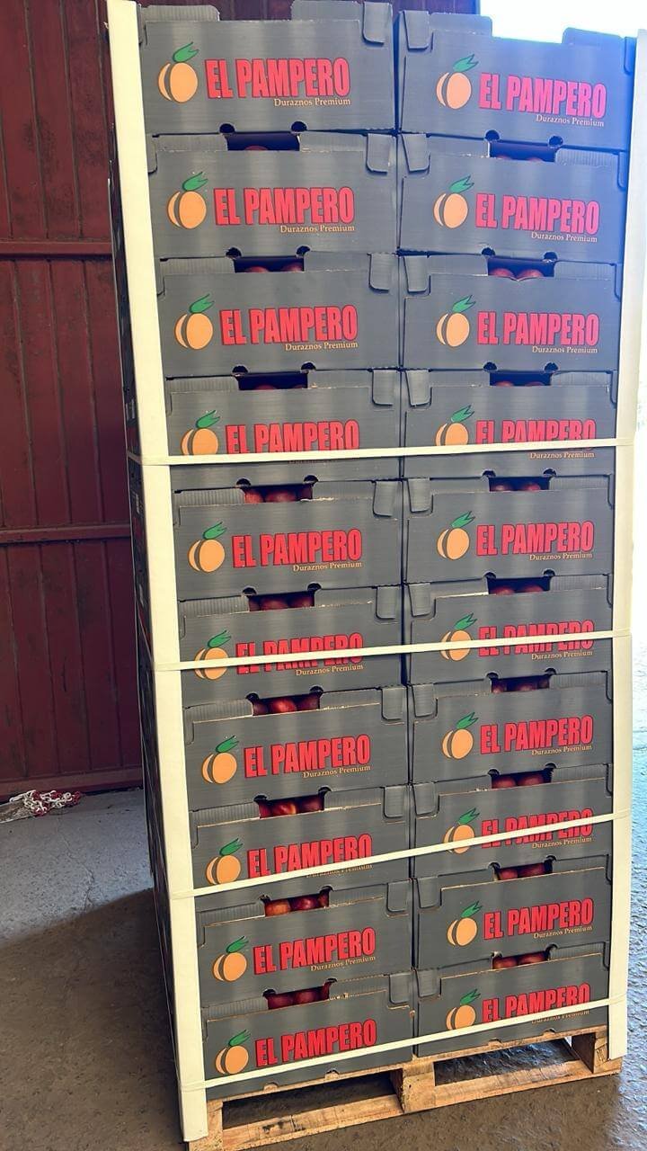 Planta de Clasificación y Empaque Profesional