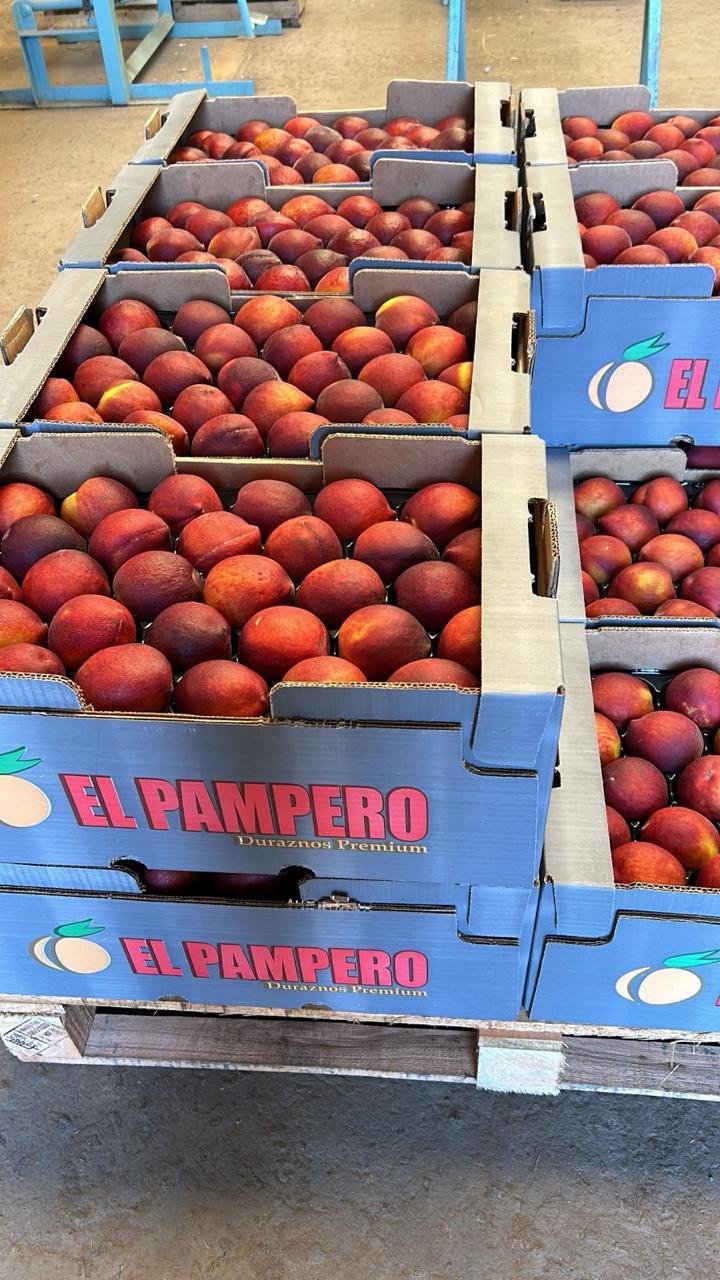 Monitoreo de Calibre en Duraznos