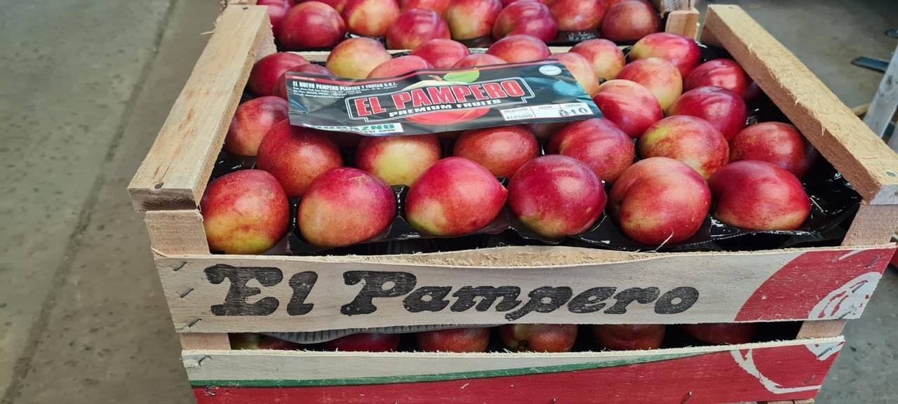 Cultivos de Ciruelas de Alta Calidad